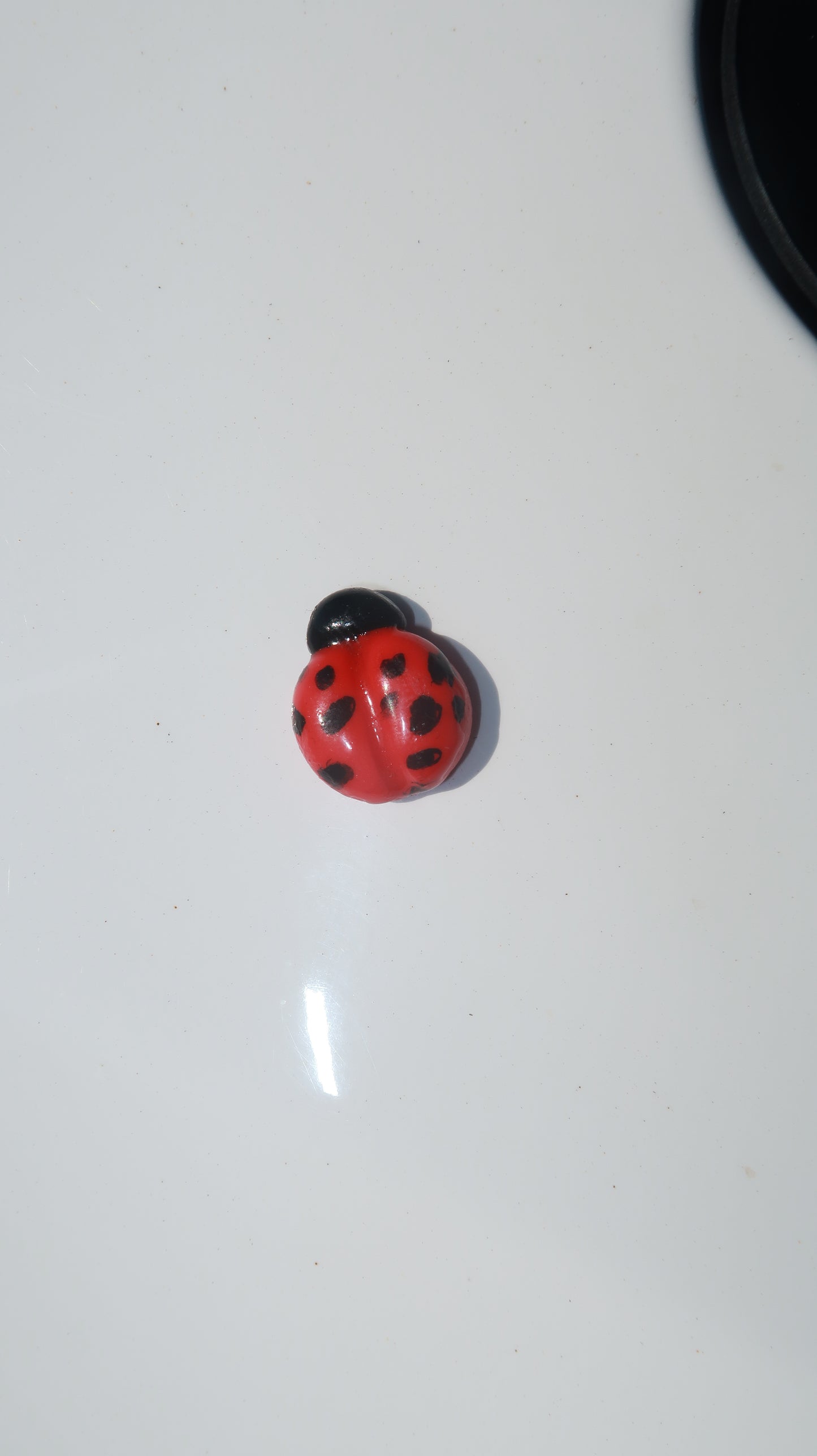 Ladybug Hipper