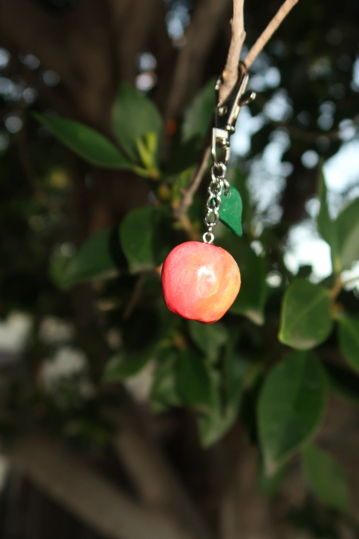 Apple Keychain