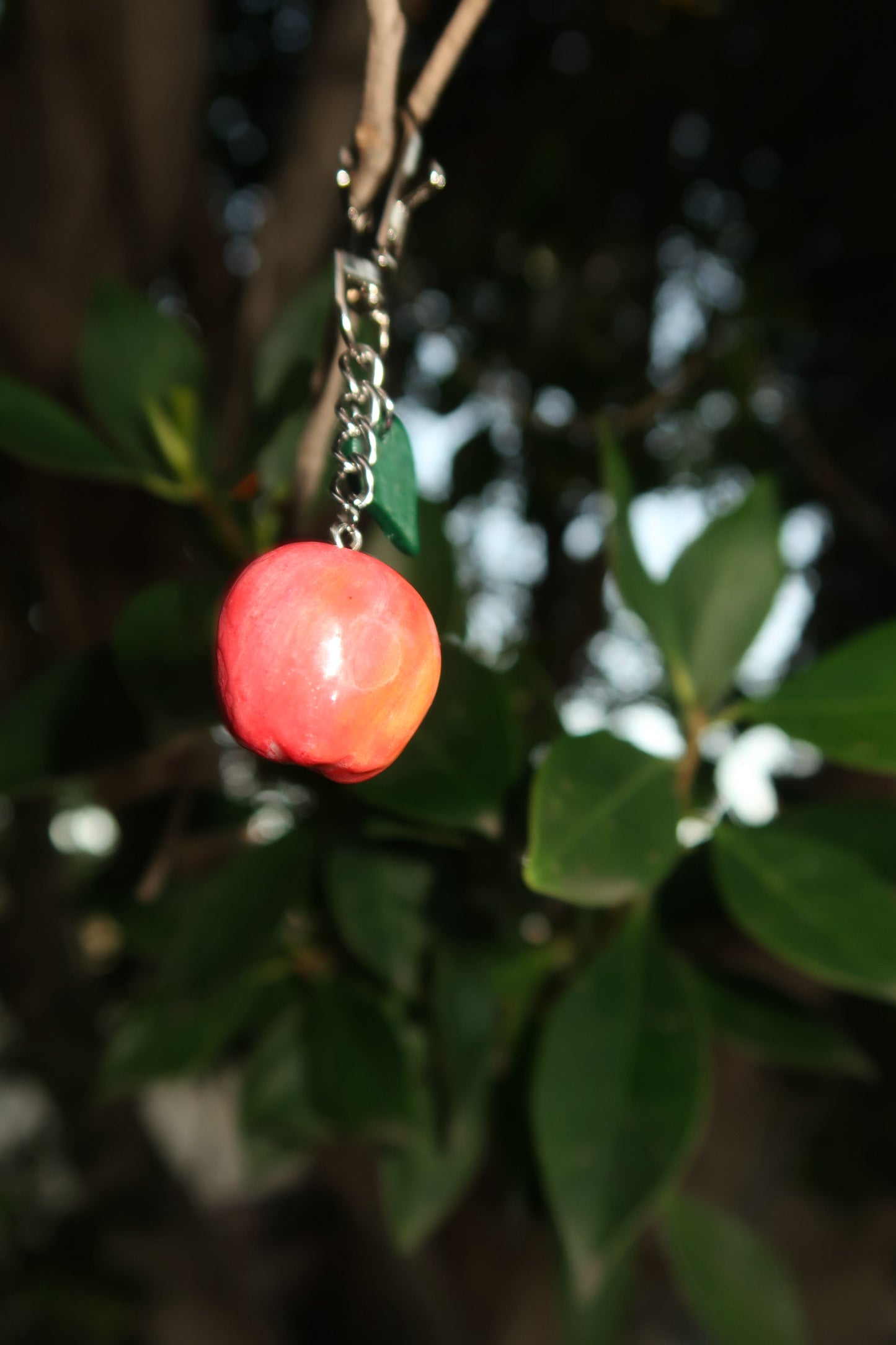 Apple Keychain