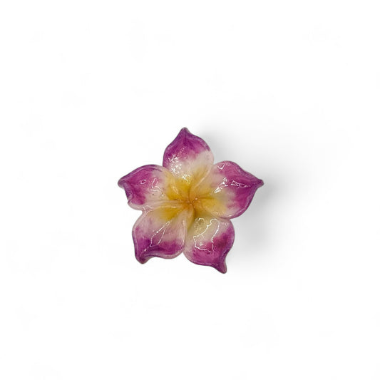 Tropical Flower Hair Clip